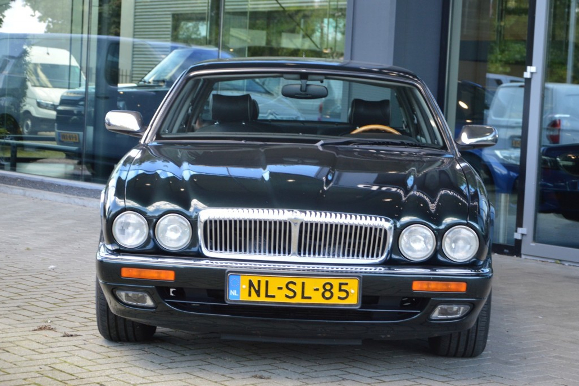 40869066-2.jpg